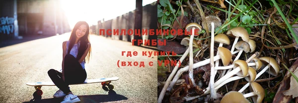 гидра Ижевск