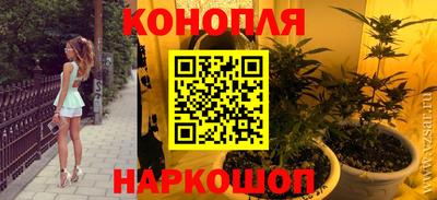 индика Комсомольск-на-Амуре