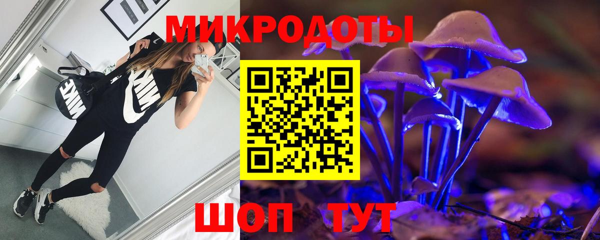 Галлюциногенные грибы Psilocybe  Галлюциногенные грибы прущие грибы  купить наркотики сайты  Вход с VPN  Севастополь 